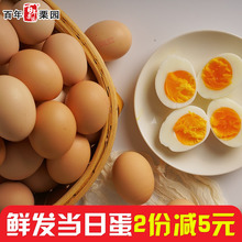 谷物粮食喂养新鲜无抗柴鸡蛋 百年栗园农家散养土鸡蛋30枚 包邮