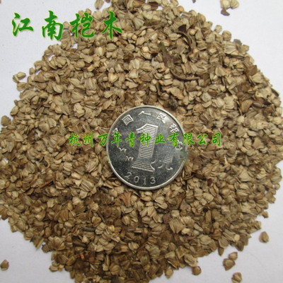 新采江南桤木种子四川红花桤木当年新苗木种子水冬瓜种子正品包邮