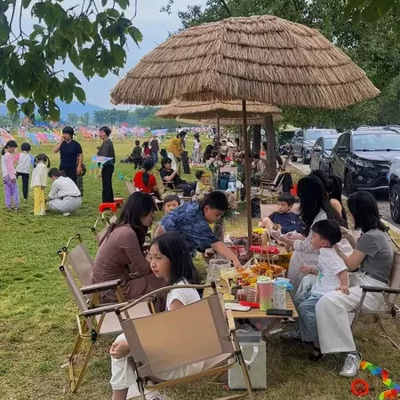 户外露营遮阳伞可折叠庭院伞防水防晒民宿仿真茅草伞便携式晴雨伞