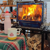 柴火炉专用木柴50斤户外露营干柴硬木白桦木硬木取暖炉劈柴无烟柴