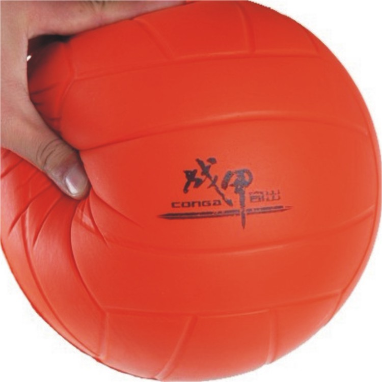 Ballon de volley - Ref 2010086 Image 3