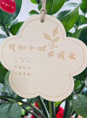 定做木质挂牌学校园区植树节吊牌树木认养牌植物标签牌名字卡10个