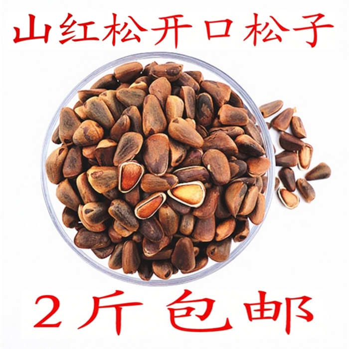 原味红松子坚果东北小兴安岭伊春龙江特产开口干果零食新货原味
