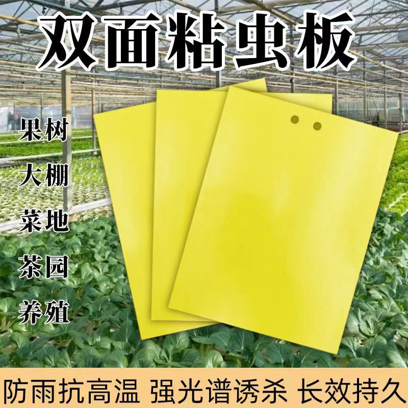拍1发40粘虫子的贴纸粘虫板黄色诱虫板双面蚊虫苍蝇贴捕蚊黏虫贴