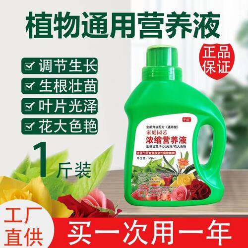 拍1发5瓶浓缩营养液发财树多肉植物营养液水培绿萝土养花盆栽花肥