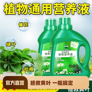 营养液植物通用型土水培盆栽多肉花卉绿萝发财树养花肥料