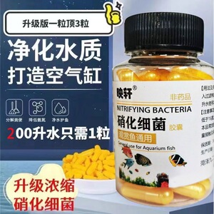 厂家直发硝化细菌鱼用鱼缸用品净水剂水族鱼清澈剂水质观赏鱼分解