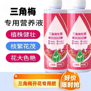 开花专用肥 拍1发4三角梅专用肥料营养液促开花防黄叶一喷花艳四季