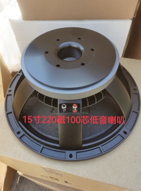 全新15寸220磁100芯1000W大功率中低音全频喇叭舞台演出婚庆KTV响