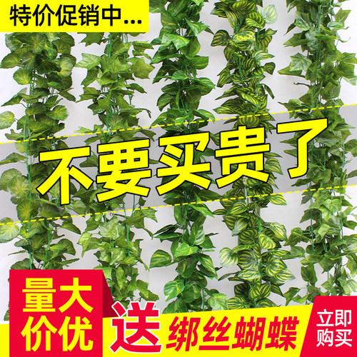 管道缠绕吊顶塑料爬山虎葡萄叶