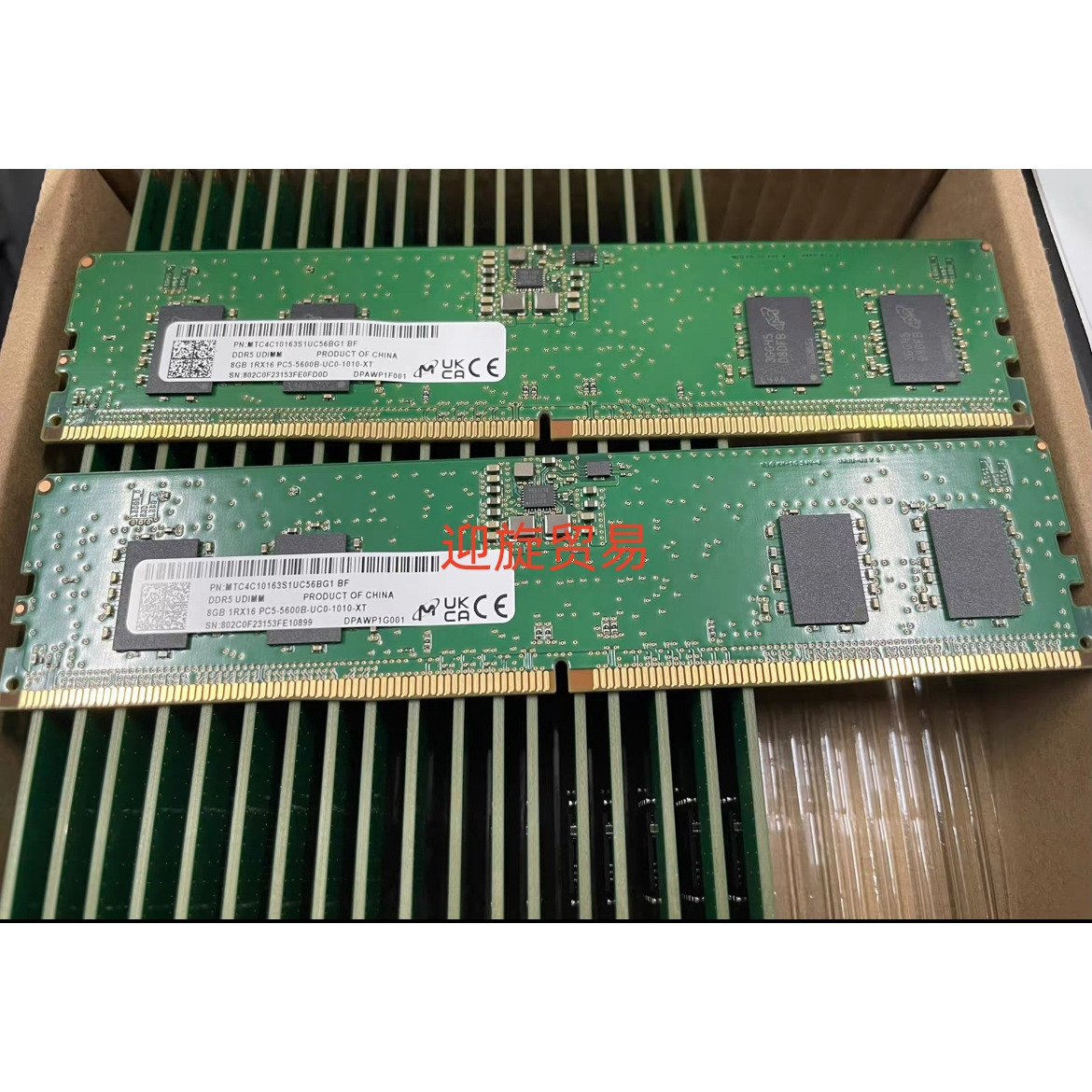 镁光8G 1RX16 PC5-5600B-UC0 DDR5台式机内存MTC4C10163S1UC56BG1