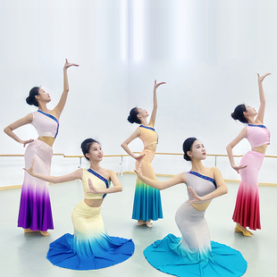 傣族舞蹈演出服装 女舞裙艺考服装 表演服孔雀舞鱼尾裙傣族练习服装