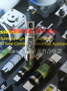 熔断器RGS4 35A40A50A63A 55A茗熔熔断器10A-110A