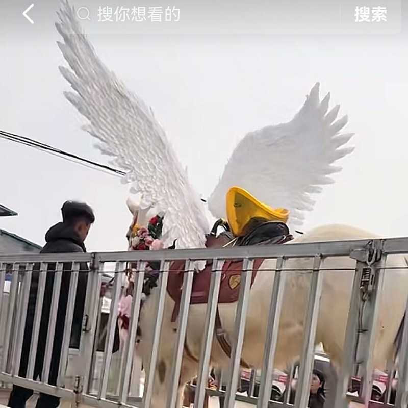 翼多美白色真羽毛天马翅膀表演道具cos摄影拍照引路之翼马鞍翅膀