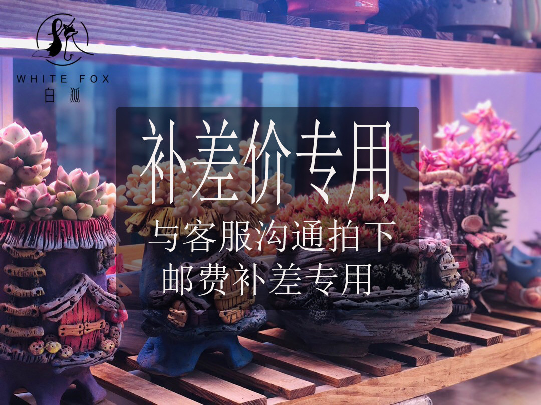 专拍链接邮费补差专用补多少元拍多少请联系客服
