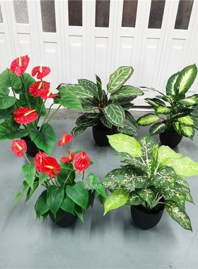 仿真万年青红掌绿色植物孔雀叶绿植落地50盆景盆栽假树背景墙装饰