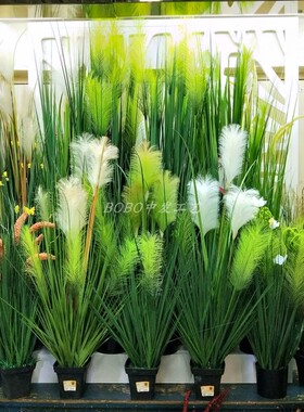 仿真芦苇盆栽蒲苇草假花道具狗尾草水生植物橱窗装饰落地绿色植物