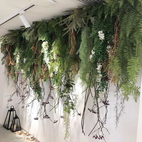 垂吊仿真绿植蕨类墙壁藤条吊顶
