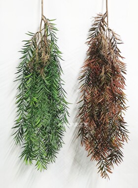 新款仿真竹叶柳叶绿植壁挂吊兰垂吊绿色植物蕨类墙壁管道吊顶装饰