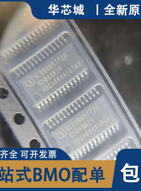 全新原装 SLB9665TT20 SLB9665TT20  微控制器芯片IC TSSOP-28