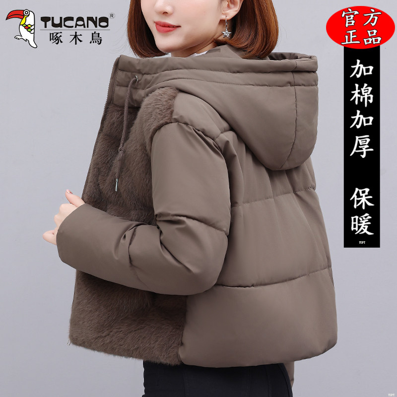 啄木鸟时尚短款棉服女士2025冬季新款小个子连帽棉衣保暖棉袄外套