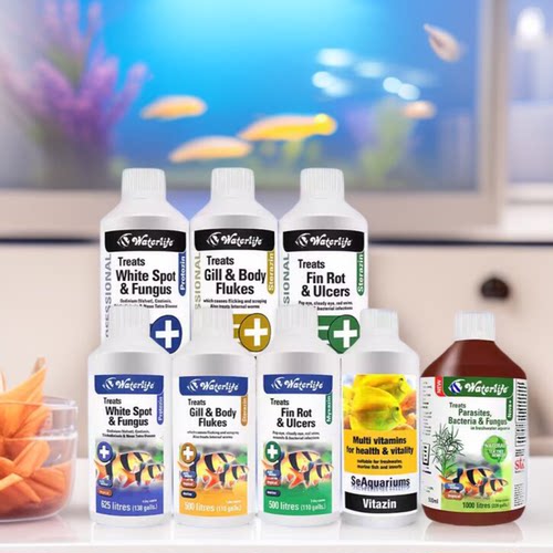 正品英国Waterlife杀菌烂肉药蒙眼真菌立鳞寄生虫烂鳍烂尾腮虫