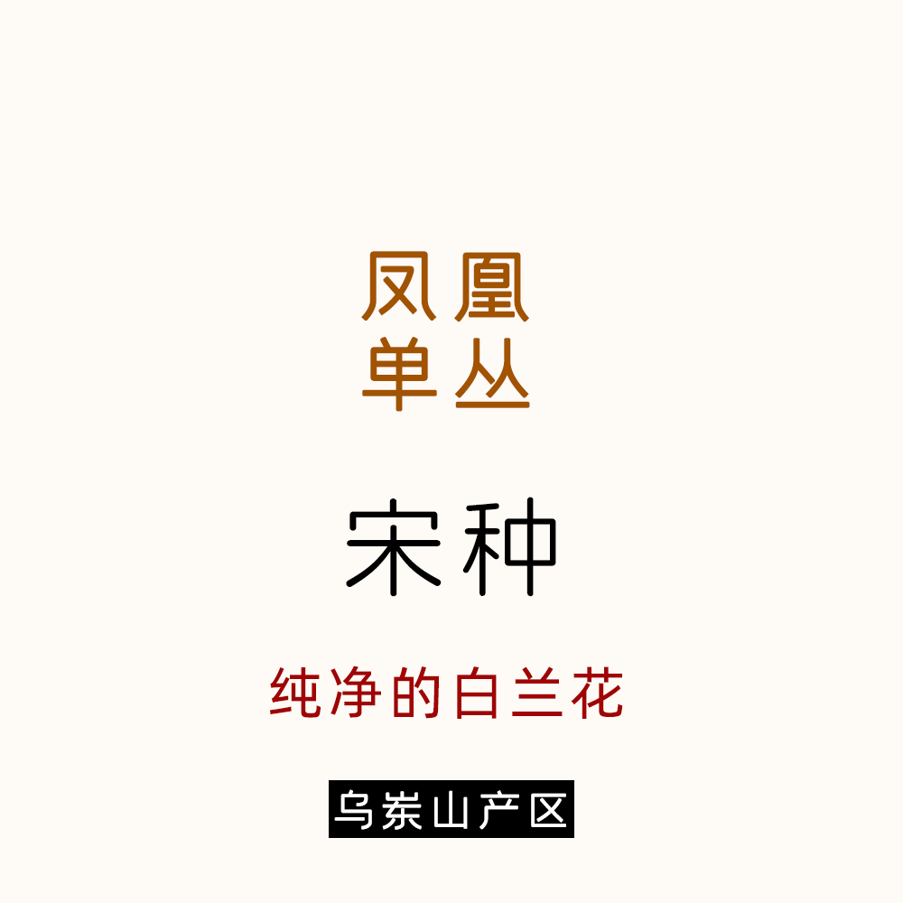 好的宋种难遇，白兰花香 薄荷清凉感 乌岽宋种 凤凰单丛唐茶坊50g