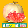 一级大果云南蒙自甜石榴当季水果新鲜10斤包邮红石榴整箱