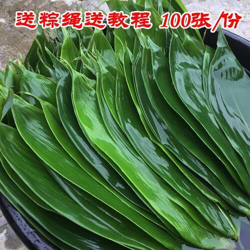 新鲜烘干商用干粽子叶批发
