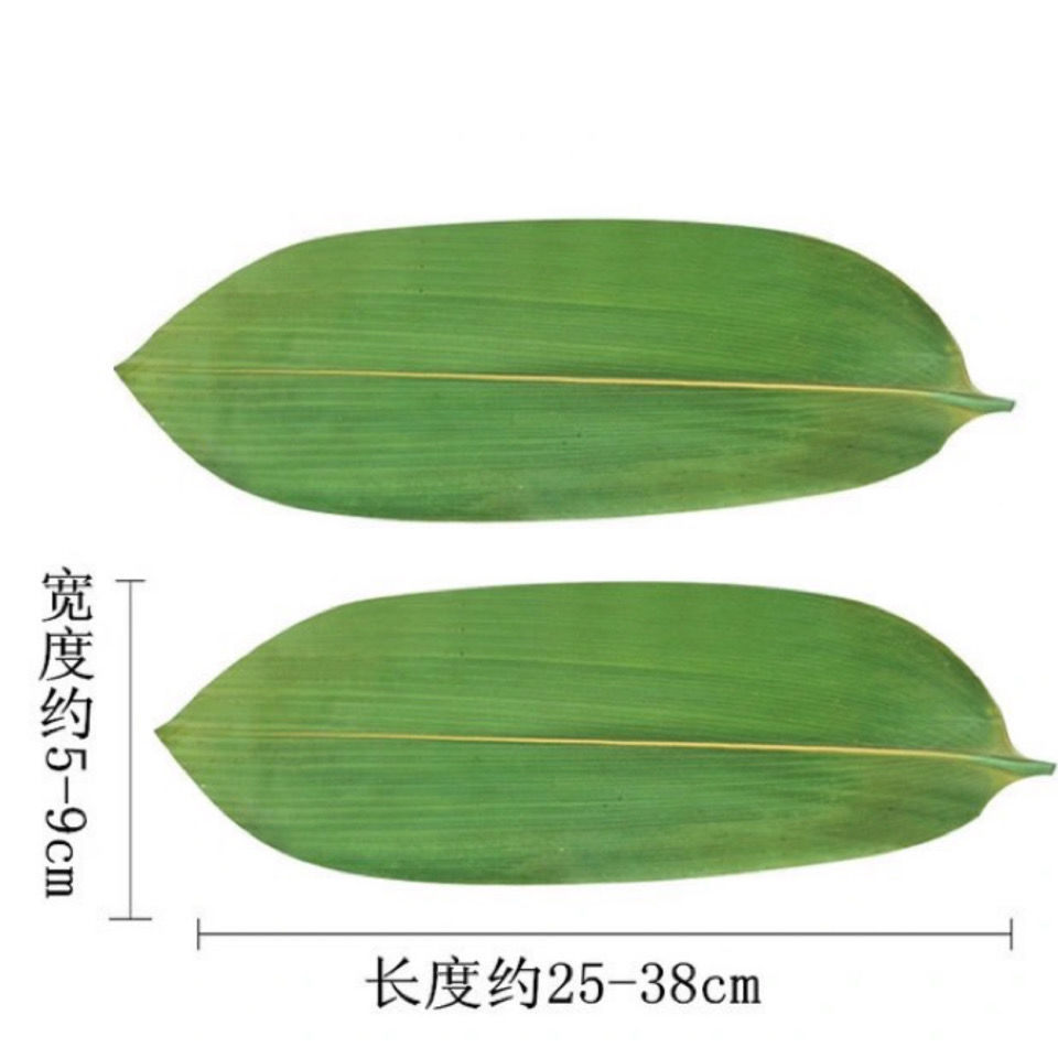 长友粽叶新鲜粽子叶箬叶真空包装