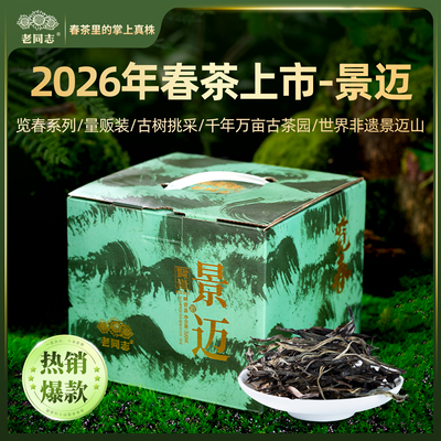老同志普洱茶春茶【2026览春景迈】 量贩装晒青茶500克送同款茶样