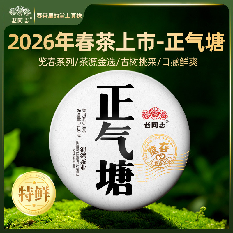 老同志普洱茶春茶【2026览春正气塘】古树生茶饼茶100克 买五送一