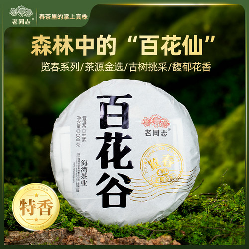老同志普洱  春茶【2026览春百花谷】古树 生茶饼茶100克买五送一