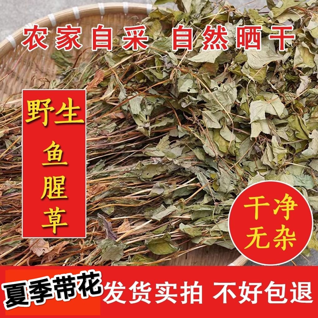 湖北宜昌特产洗净折耳根叶晒干新鲜晒干鱼腥草叶泡水喝鱼腥草干货