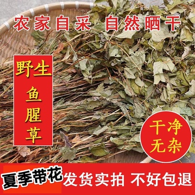 湖北宜昌特产洗净折耳根叶晒干新鲜晒干鱼腥草叶泡水喝鱼腥草干货