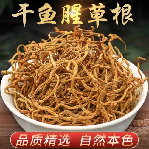 当季新鲜晒干货节节根鱼腥草干根