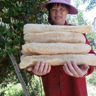 丝瓜瓤洗碗丝瓜络搓澡巾杯子刷木纤维洗碗巾厨房抹布不粘油百洁布