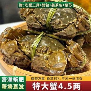 大闸蟹鲜活10只全母兴化大闸蟹礼盒特大清水河蟹公母搭配去绳净重
