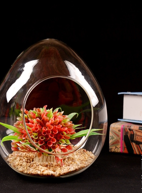 创意鹅蛋形透明玻璃花瓶家居饰品工艺摆件