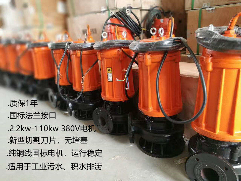 铸铁境界潜污泵100WQ100-30-15kw城市污水生活废水排涝切割水泵