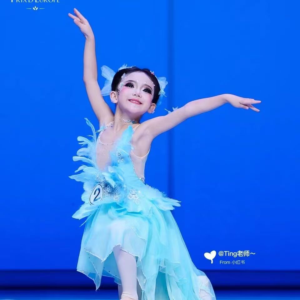 儿童舞台演出蝴蝶舞连衣裙