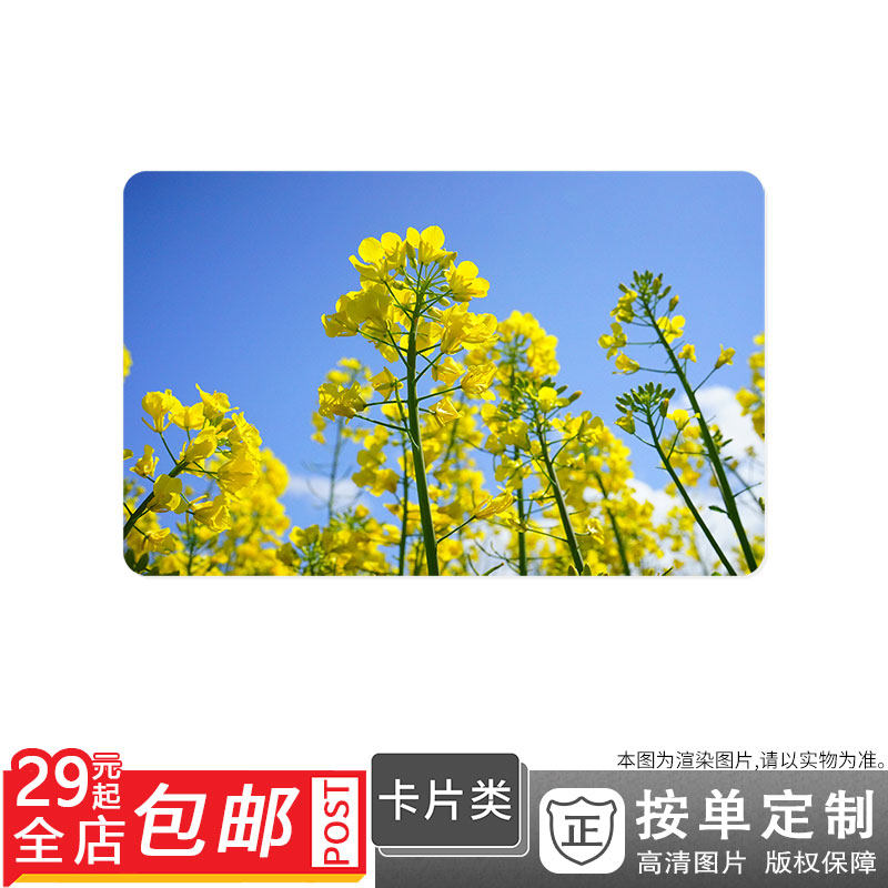 500242592 茂盛蔚蓝阳光鲜花盛开海洋卡贴双面卡单面卡防晒|msdalam kategori adat peribadi/Design Services/DIY, penyesuaian lain, Produk-produk lain disesuaikan - dari Buy2taobao.com untuk memberikan perkhidmatan ejen Taobao profesional membeli