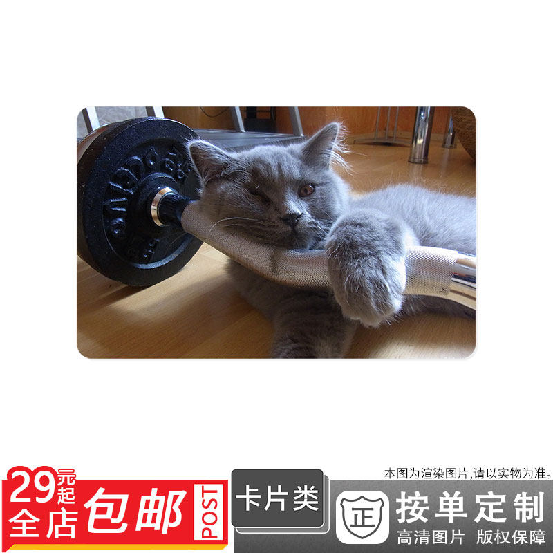 260069 Eye Ears Paw grey lovely Picture card Double-sided cards Single Sunscreenin the Personalized custom/Design Services/DIY , Other customized , Other product customization  category - from Buy2taobao.com to provide professional Taobao agent buy service