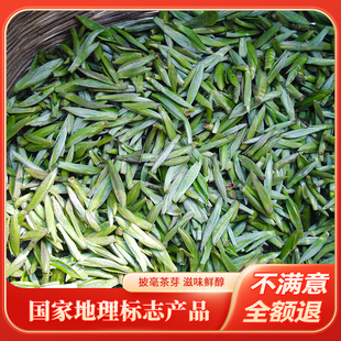 雀舌绿茶2025年新茶三花茶叶特级明前高山蒲江芽头毛峰茶罐装 50g