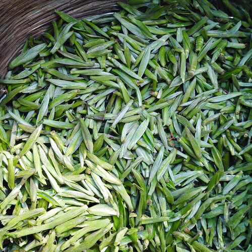 三花茶叶蒲江雀舌绿茶新茶