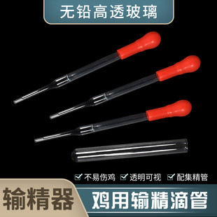 鸡用输精管斗鸡受精管斗鸡人工授精工具 公鸡精液采集杯输精滴管