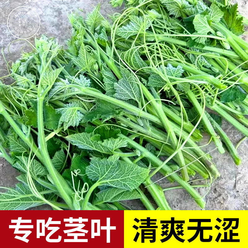 南瓜尖苗种籽种子家庭阳台专吃藤茎嫩叶四季春季南方种特色蔬菜孑,鲜花速递/花卉仿真/绿植园艺,家庭园艺种子,淘宝优惠券,粉丝福利购,淘宝优惠卷