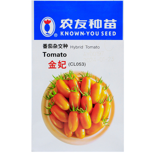 农友金妃番茄种子黄色圣女果千禧种籽进口台湾小西红柿大田蔬菜种