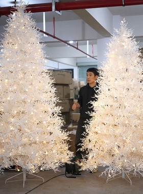 纯pe圣诞树1.5雪松2米家用橱窗装饰christmas tree白色简约植绒树