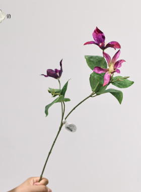 仿真花山谷铁线莲浅紫绿紫红家居装饰绢花设计师插花摄影道具摆件